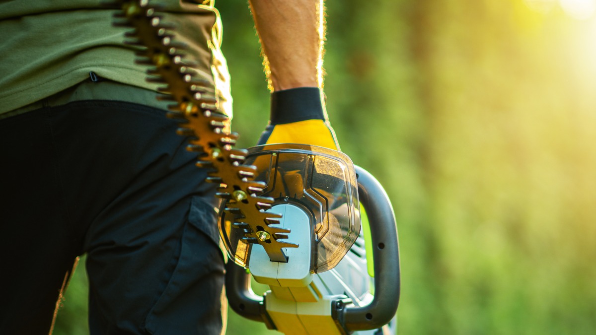 De beste accu heggenscharen